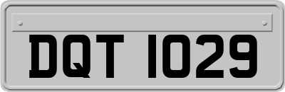 DQT1029