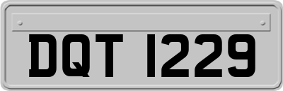 DQT1229