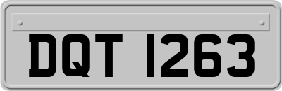 DQT1263