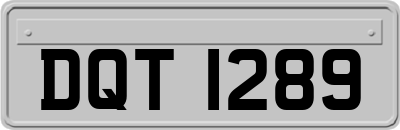 DQT1289