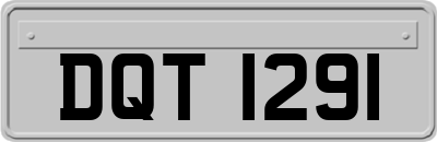 DQT1291