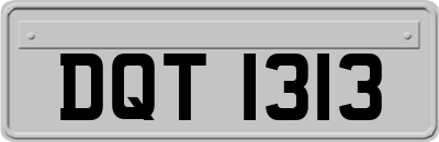 DQT1313