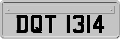 DQT1314