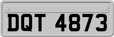 DQT4873