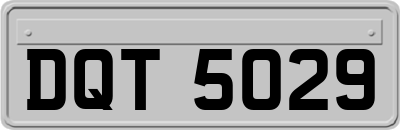 DQT5029