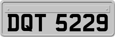 DQT5229