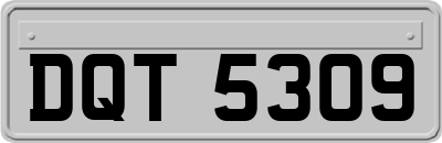 DQT5309