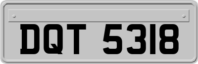 DQT5318