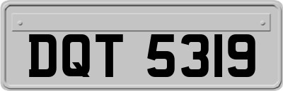 DQT5319