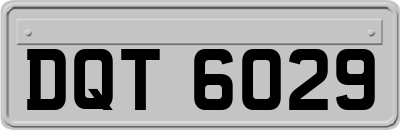 DQT6029