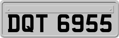 DQT6955