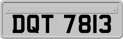 DQT7813
