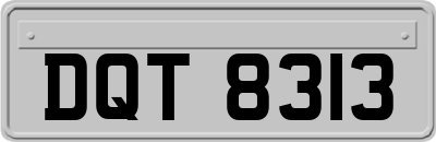 DQT8313