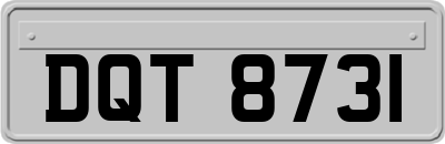 DQT8731