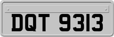DQT9313