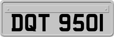 DQT9501