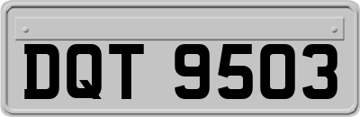 DQT9503