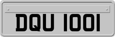 DQU1001
