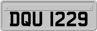 DQU1229