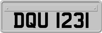 DQU1231