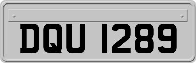 DQU1289