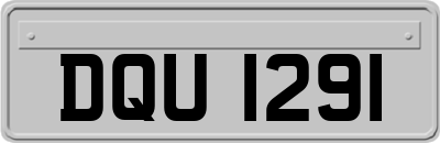DQU1291