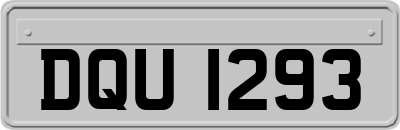 DQU1293