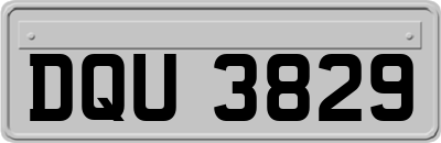 DQU3829