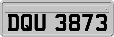 DQU3873