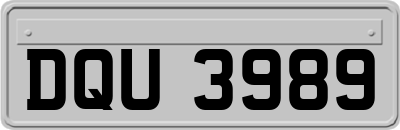 DQU3989