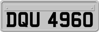 DQU4960