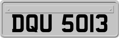 DQU5013
