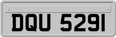 DQU5291