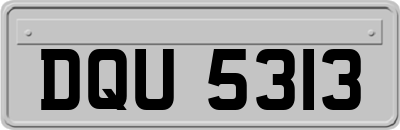 DQU5313