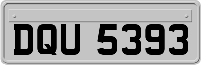 DQU5393