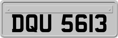 DQU5613