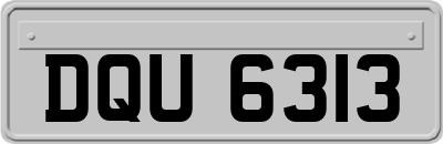 DQU6313