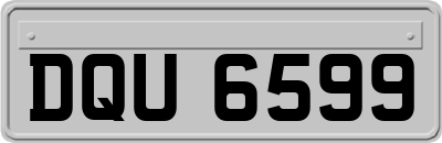 DQU6599