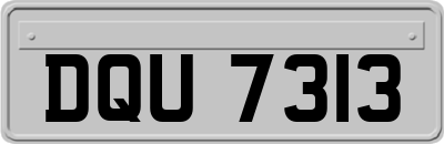 DQU7313