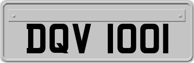 DQV1001