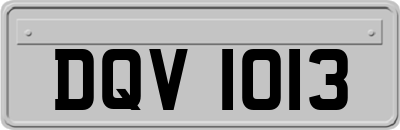 DQV1013