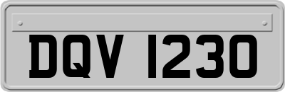 DQV1230