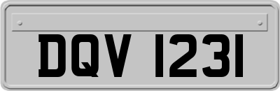 DQV1231