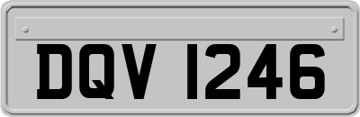 DQV1246