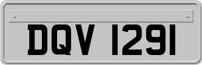 DQV1291