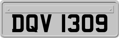 DQV1309