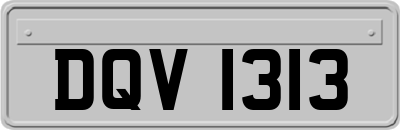 DQV1313