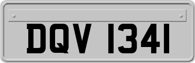 DQV1341