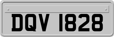 DQV1828