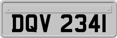 DQV2341